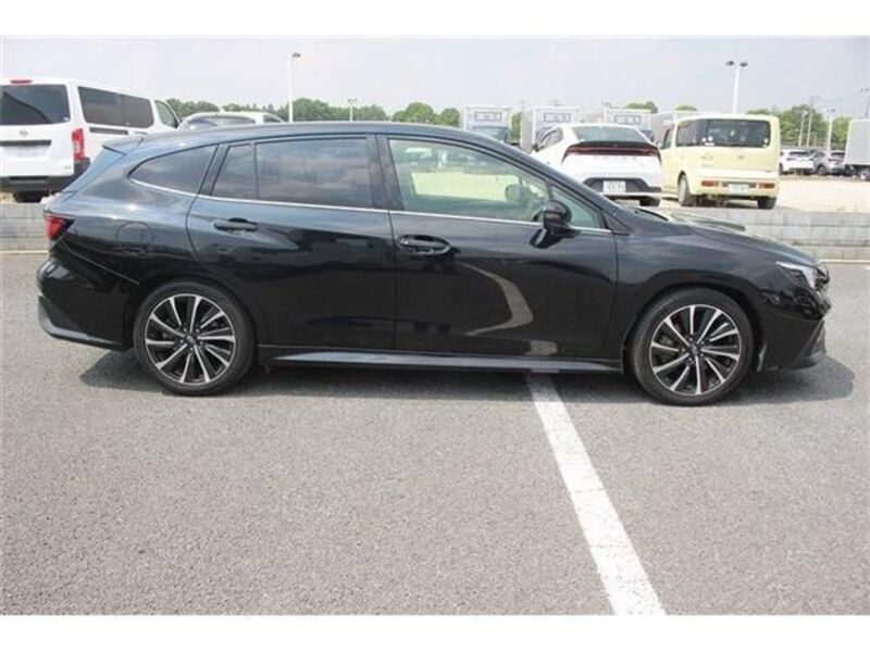 LEVORG