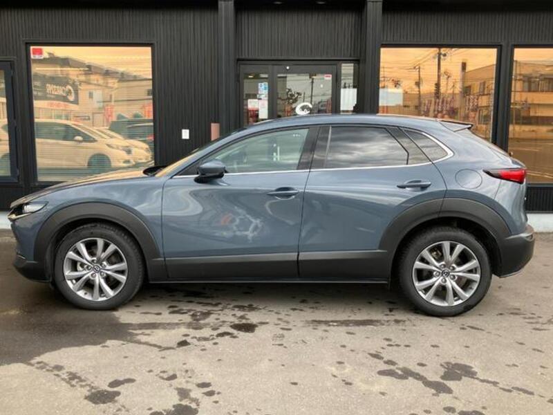 CX-30