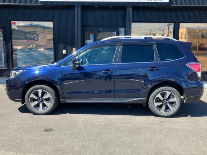 FORESTER