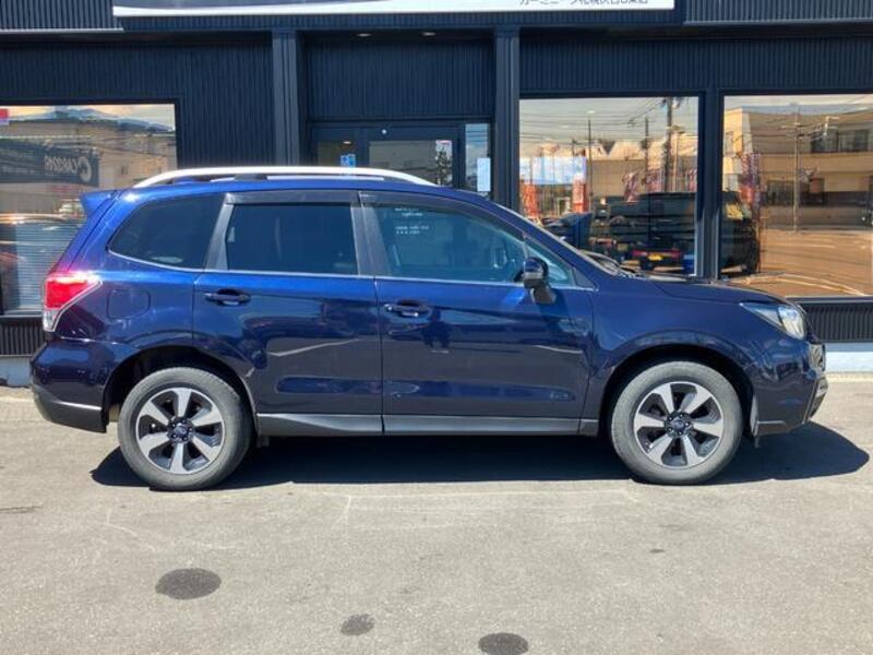 FORESTER