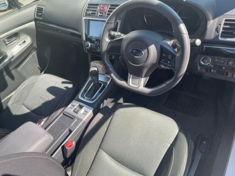LEVORG