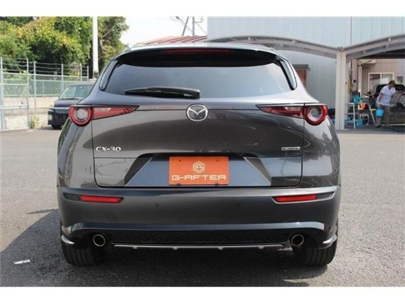 CX-30