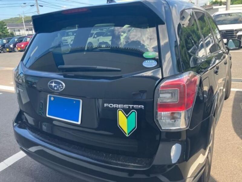 FORESTER