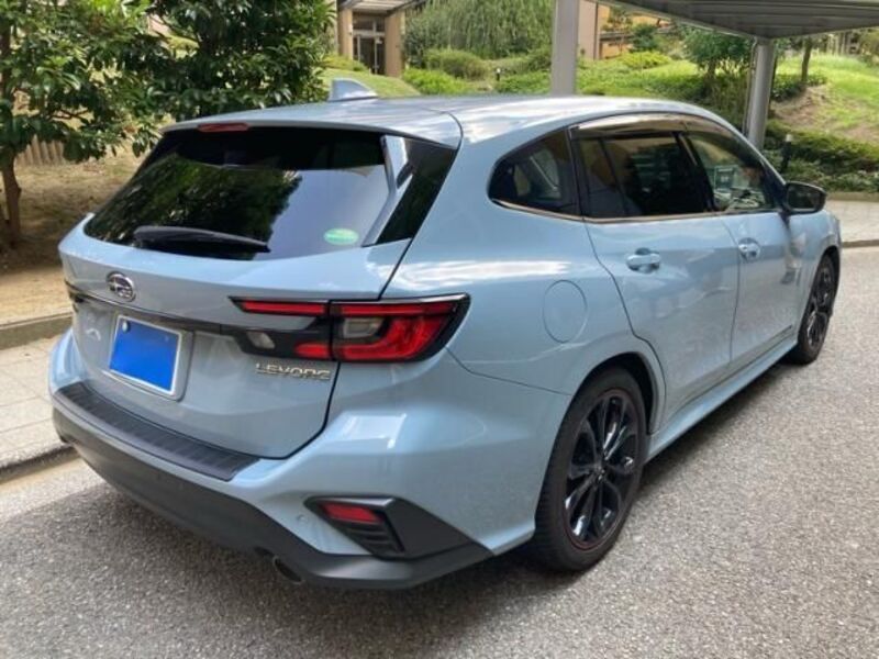 LEVORG