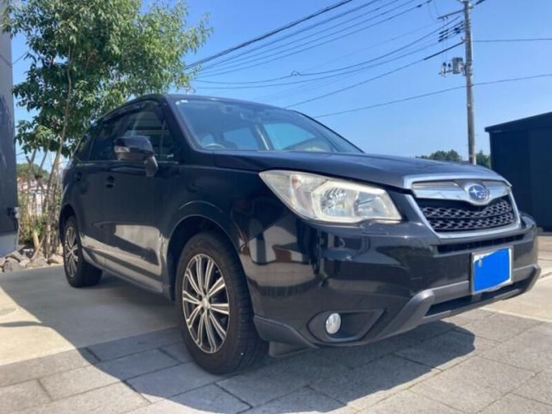 FORESTER