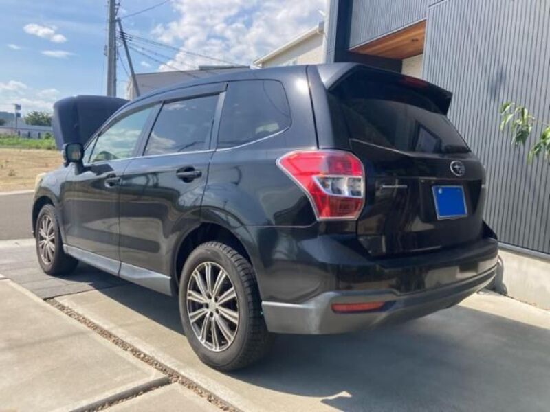 FORESTER