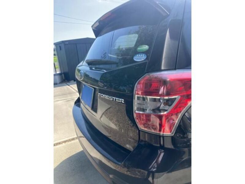 FORESTER