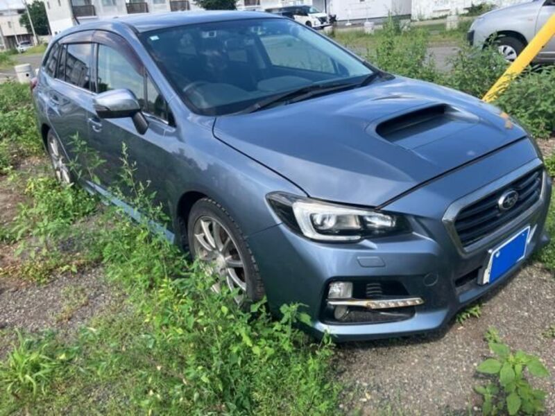 LEVORG