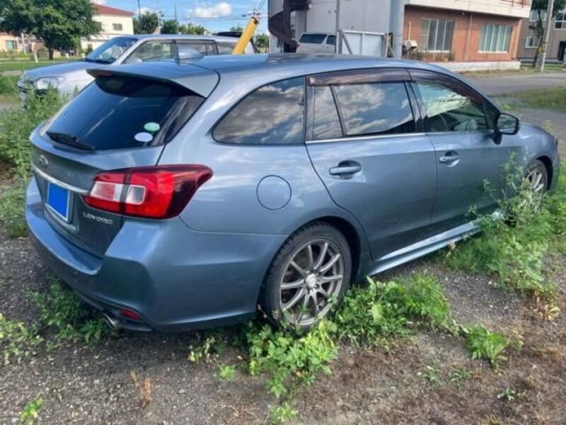 LEVORG