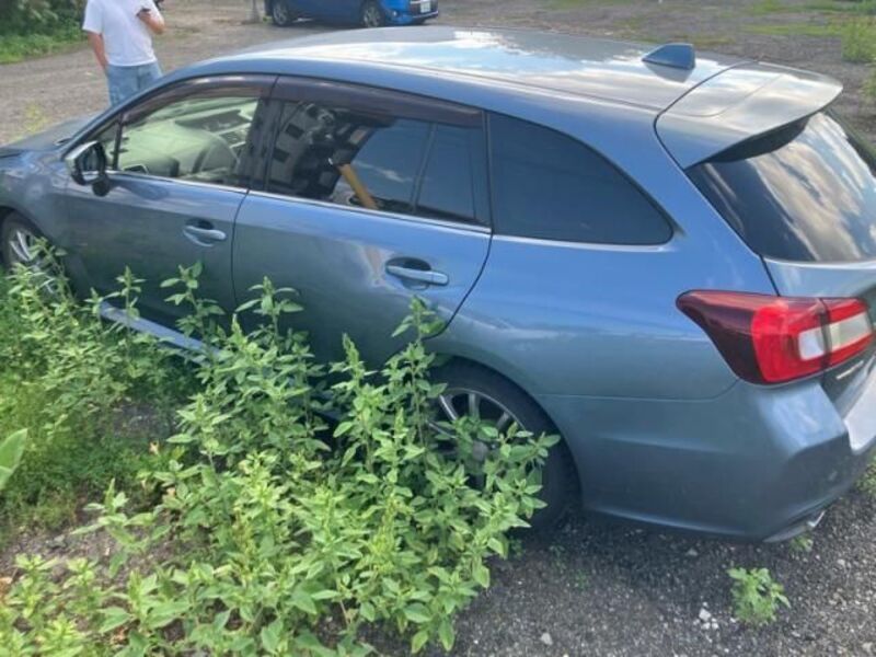 LEVORG