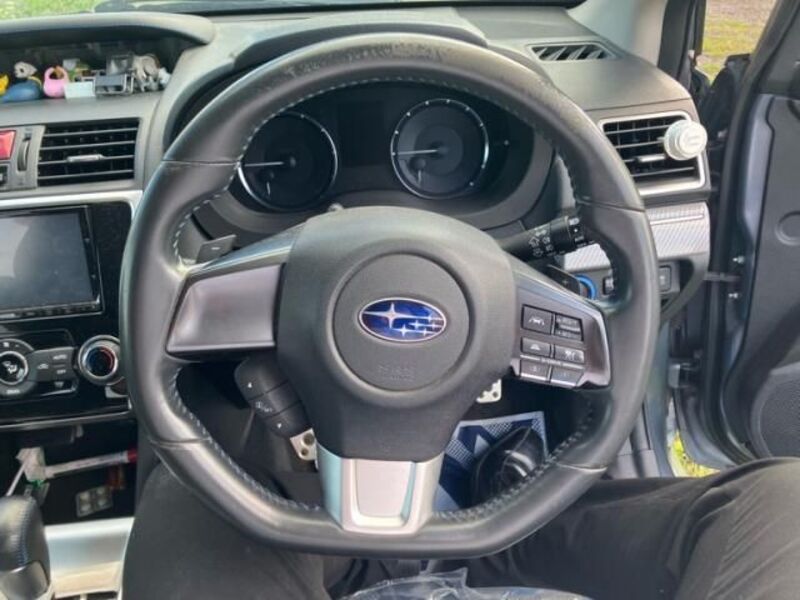 LEVORG