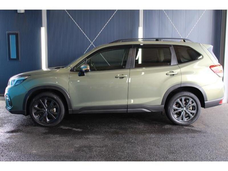 FORESTER