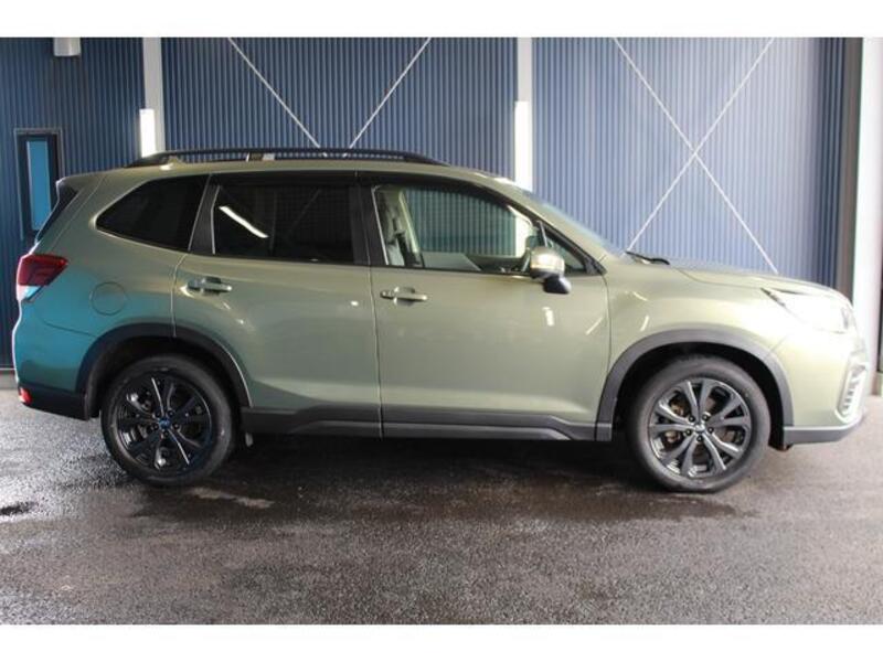 FORESTER