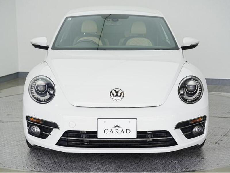THE BEETLE