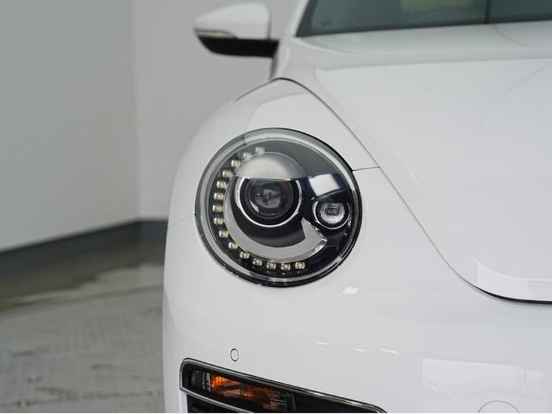 THE BEETLE