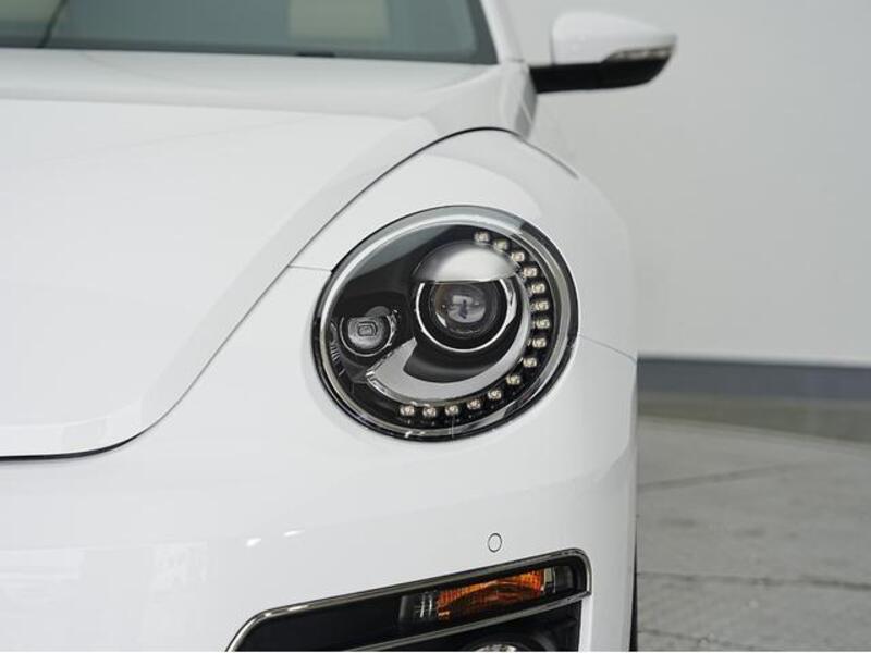 THE BEETLE