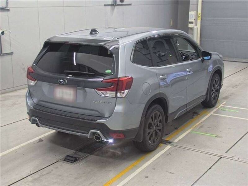 FORESTER