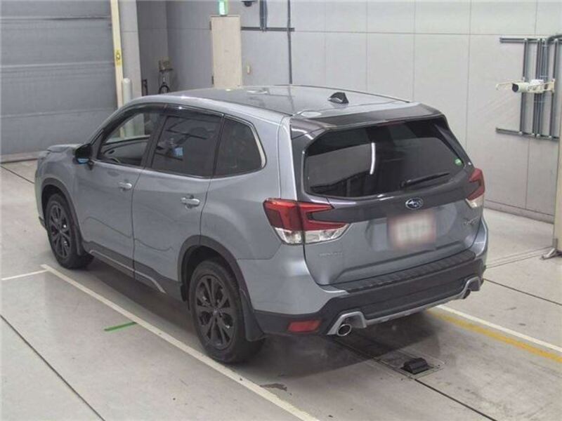 FORESTER