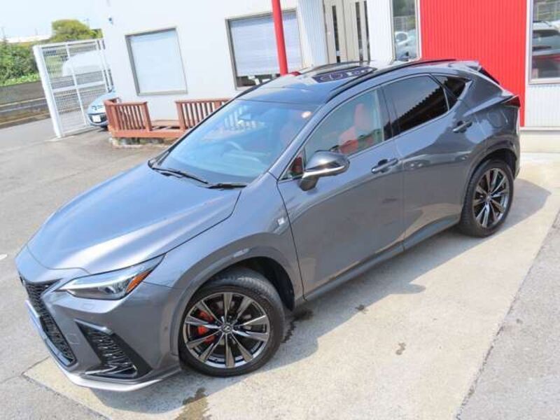 NX