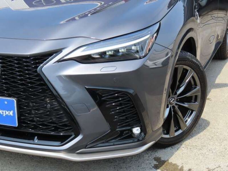 NX