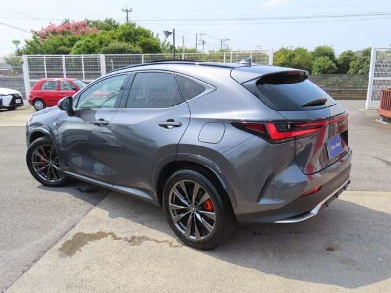 NX