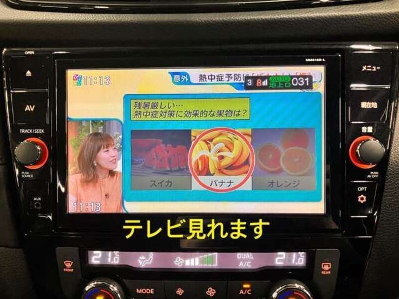 X-TRAIL