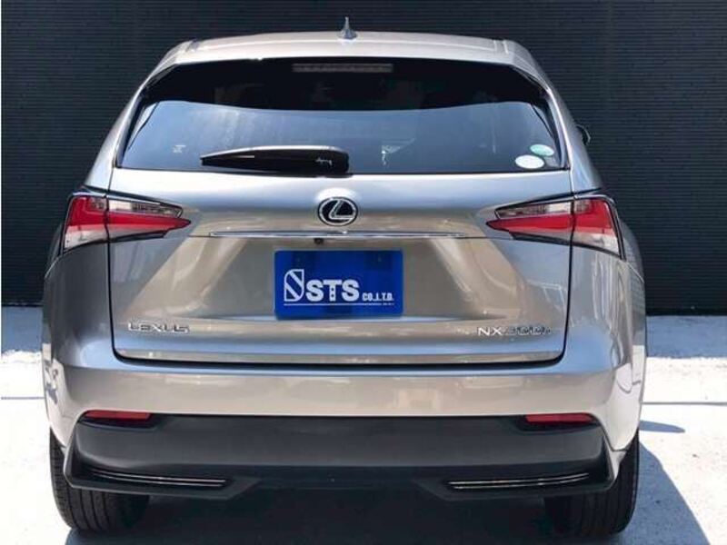 NX