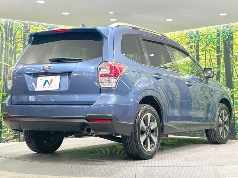 FORESTER