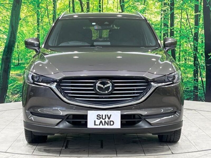 CX-8