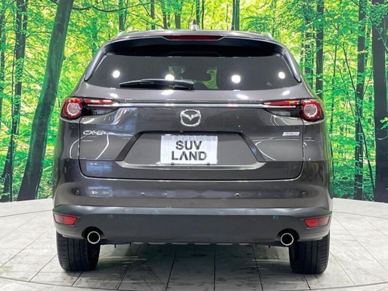 CX-8