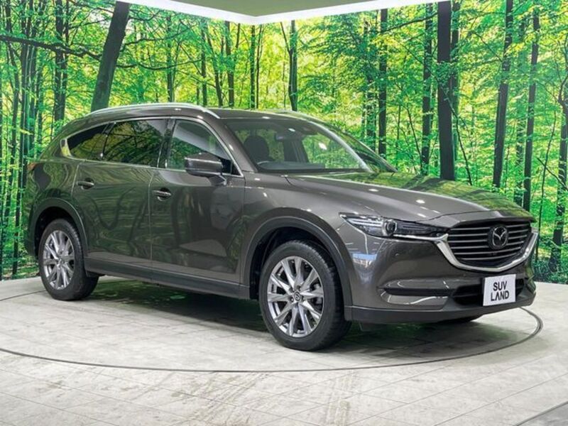 CX-8
