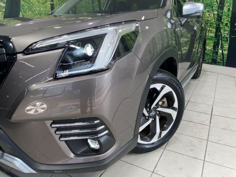 FORESTER