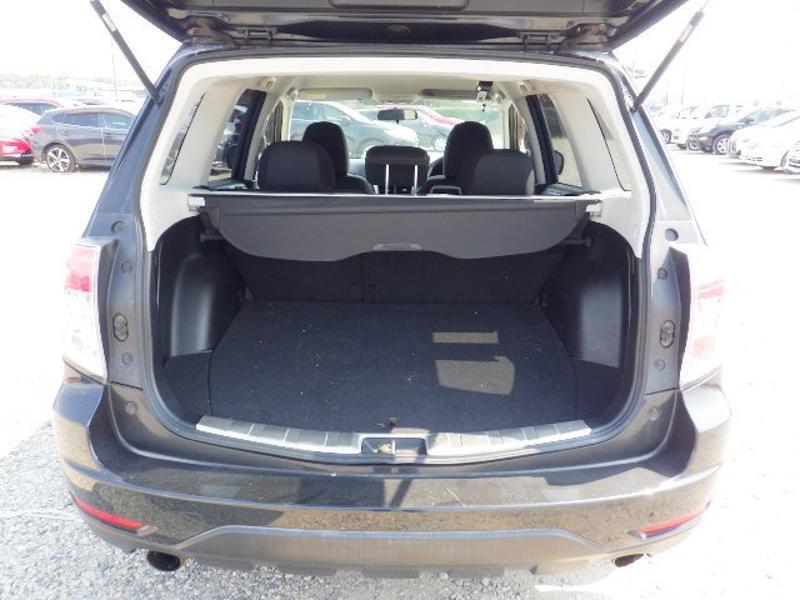 FORESTER