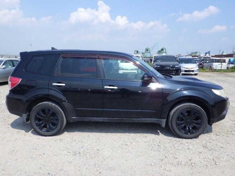 FORESTER