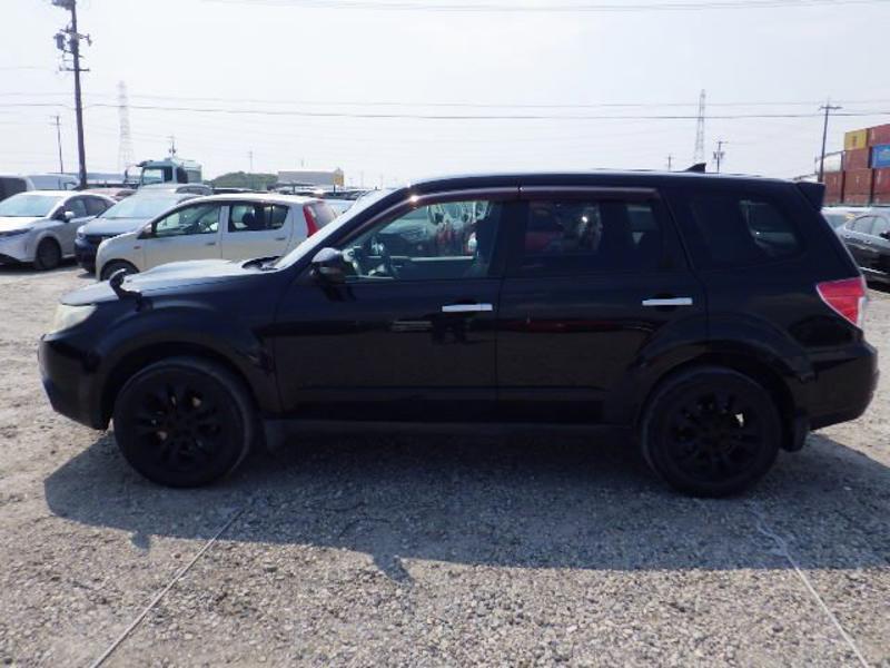 FORESTER