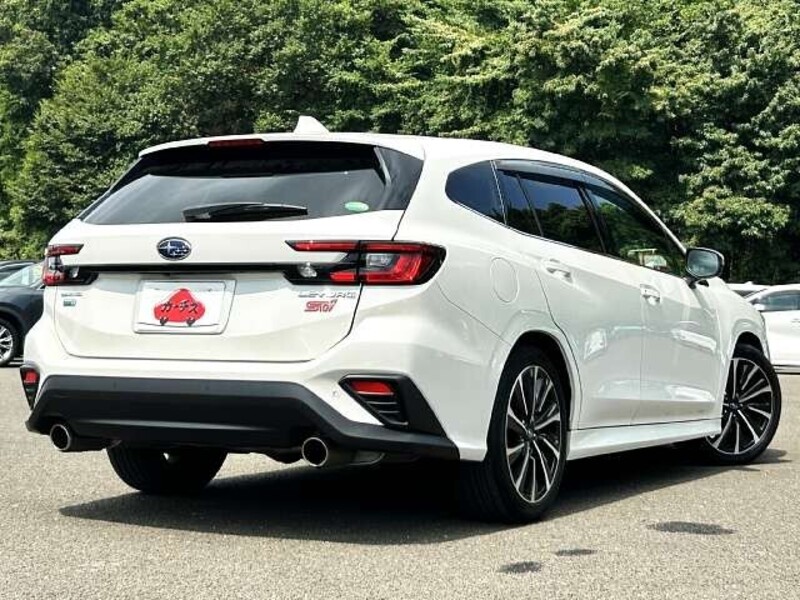 LEVORG