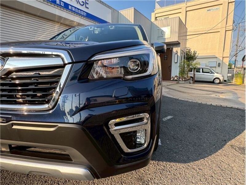 FORESTER