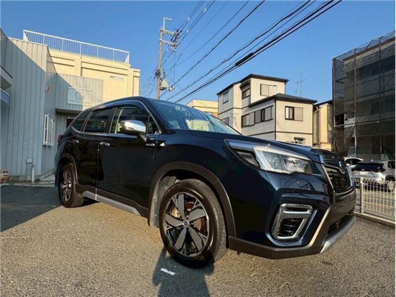 FORESTER