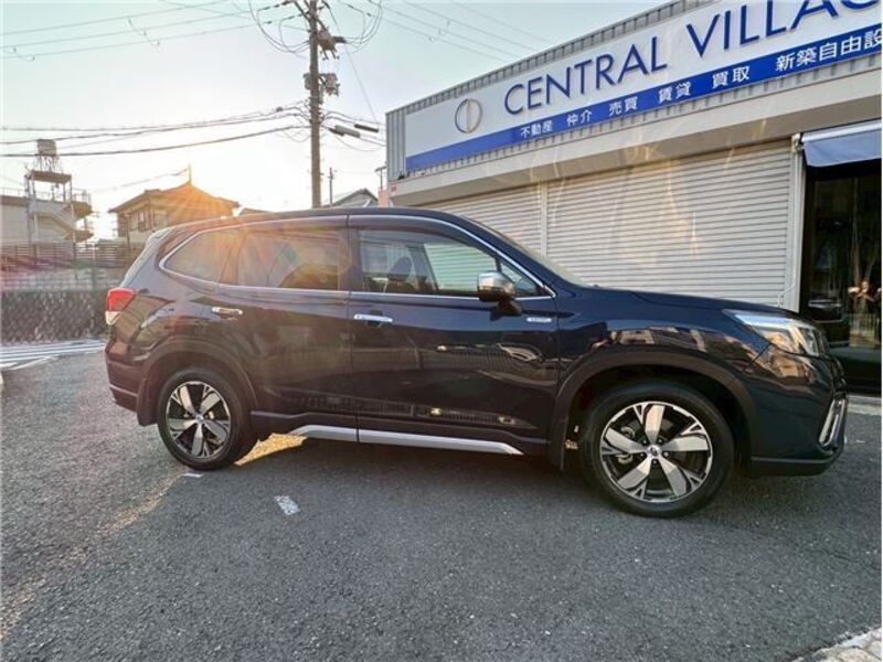 FORESTER