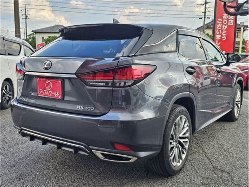 RX