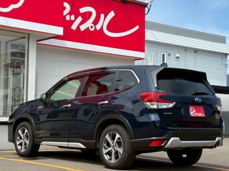 FORESTER