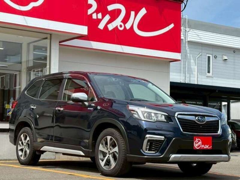 FORESTER