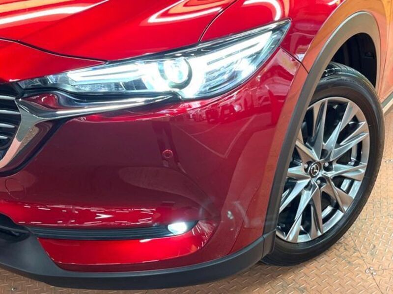 CX-8