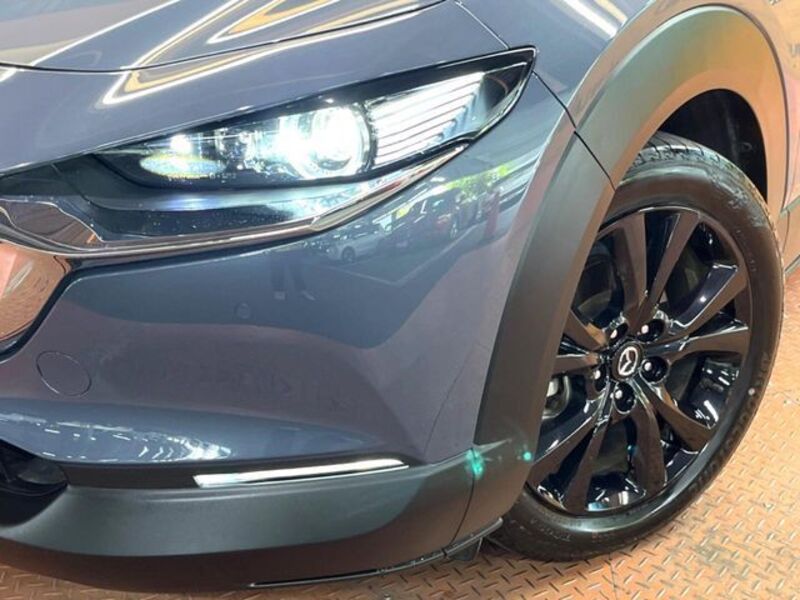 CX-30