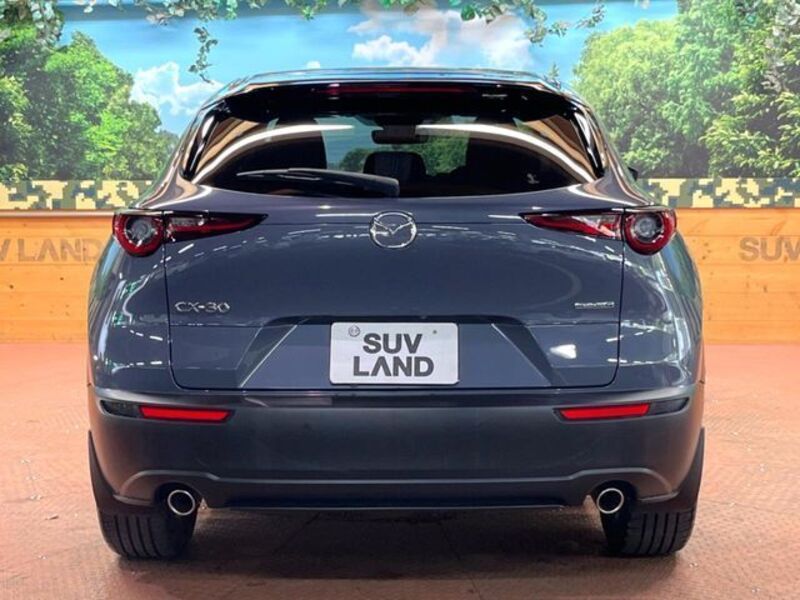 CX-30