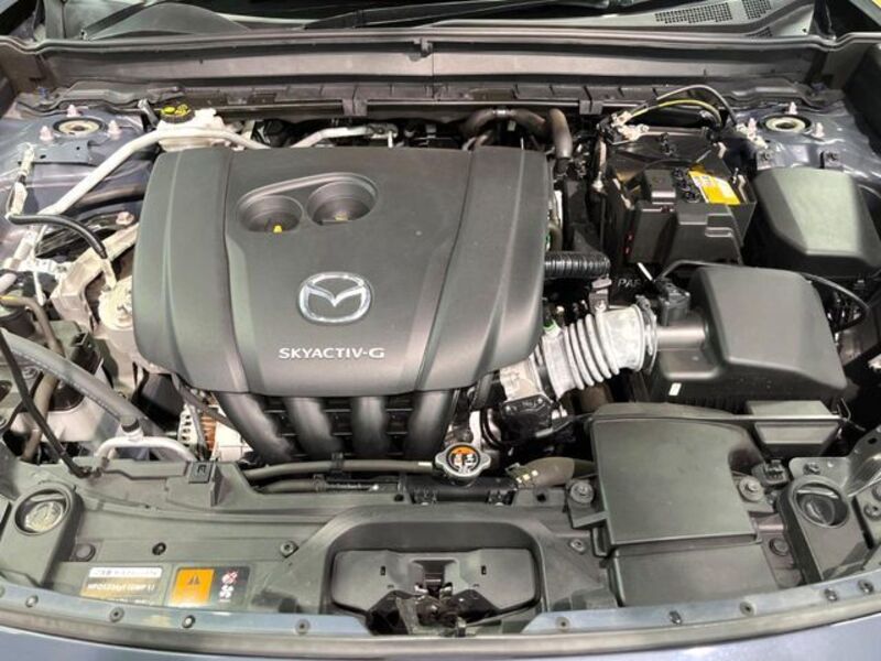 CX-30