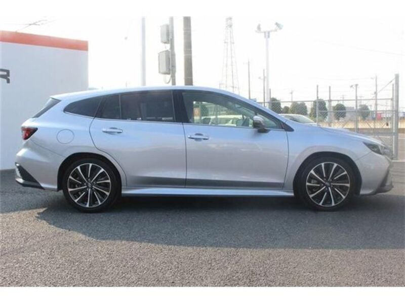 LEVORG