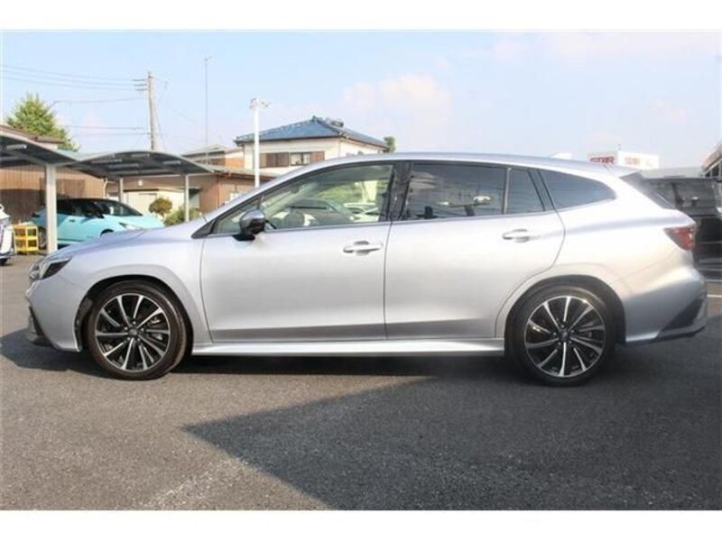 LEVORG