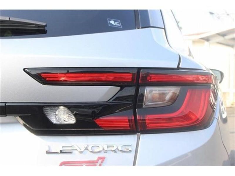 LEVORG