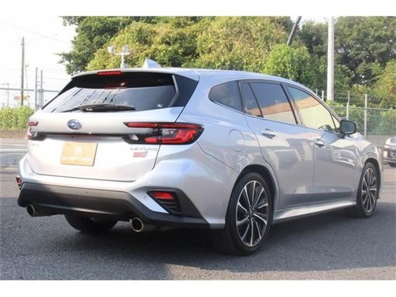 LEVORG
